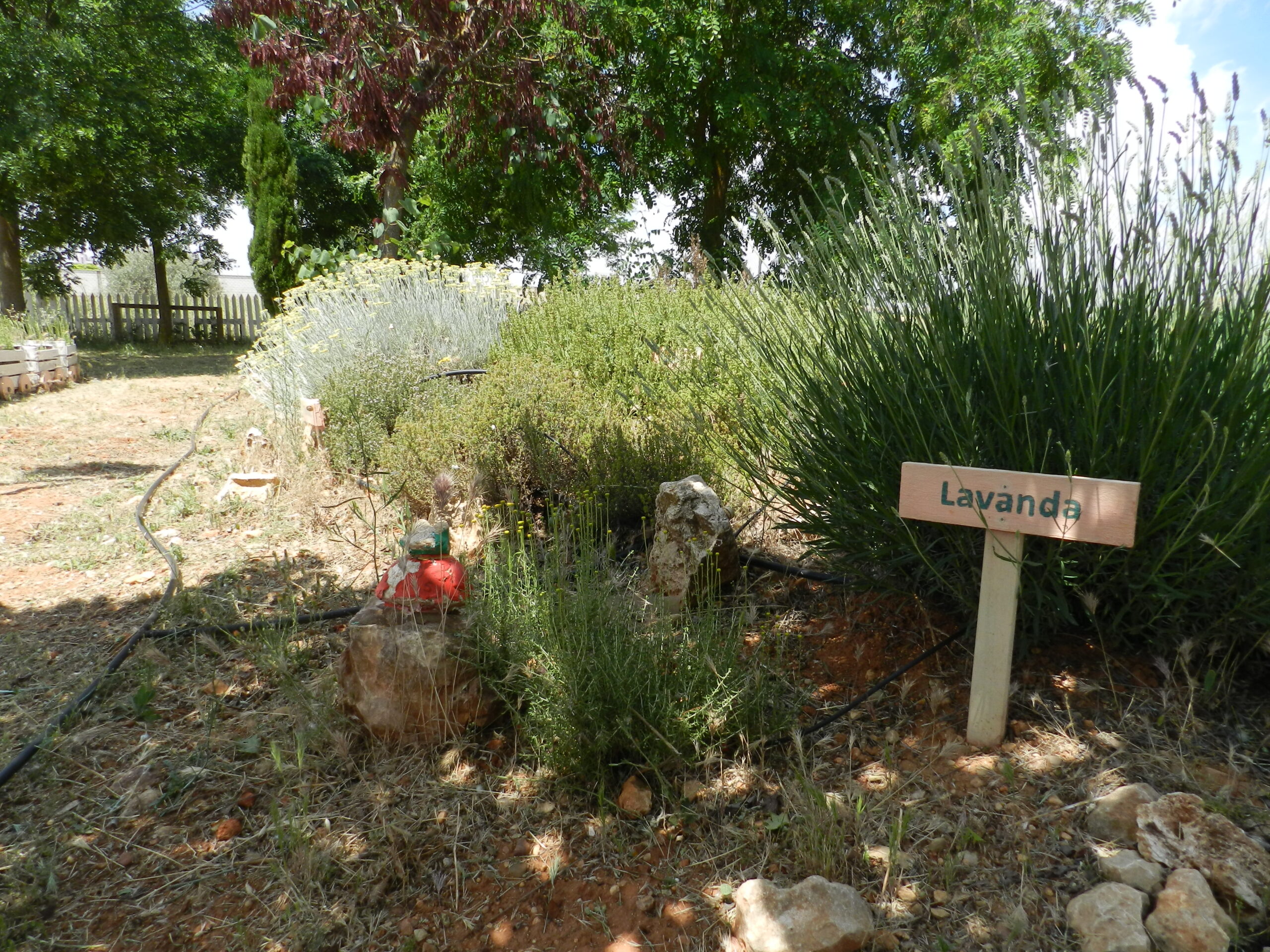ZONA EXTERIOR
